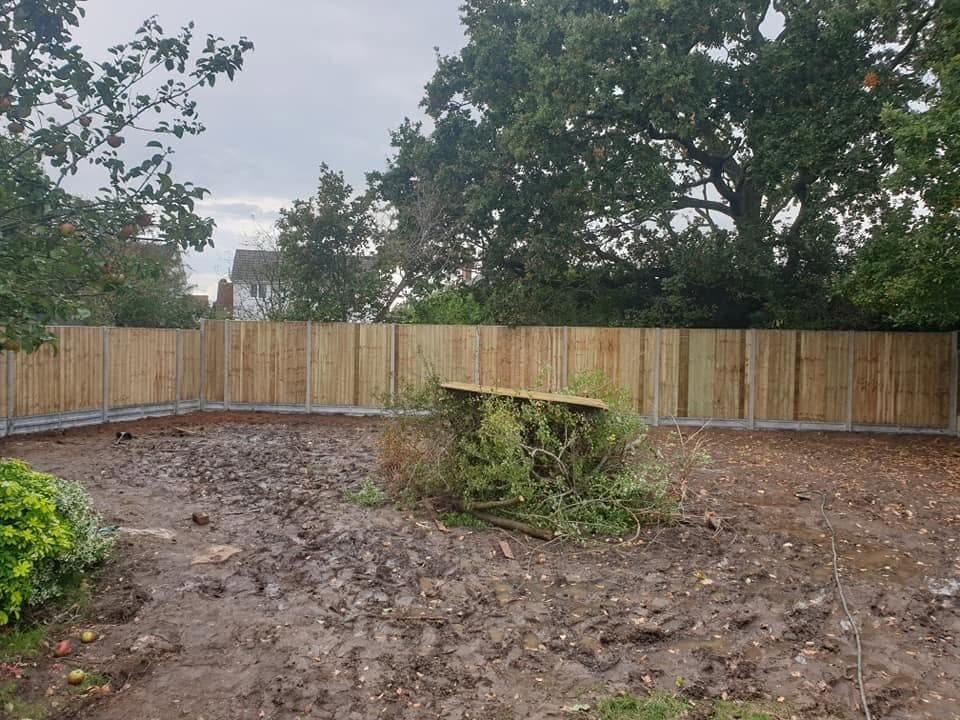 Long run of new close-board fencing on concrete posts around a cleared garden