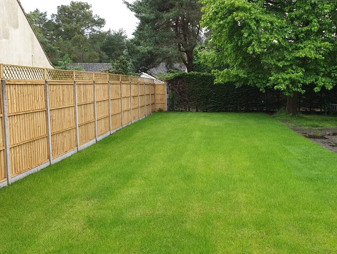 Long level lawn beside a new close-board fence with trellis topper on concrete posts