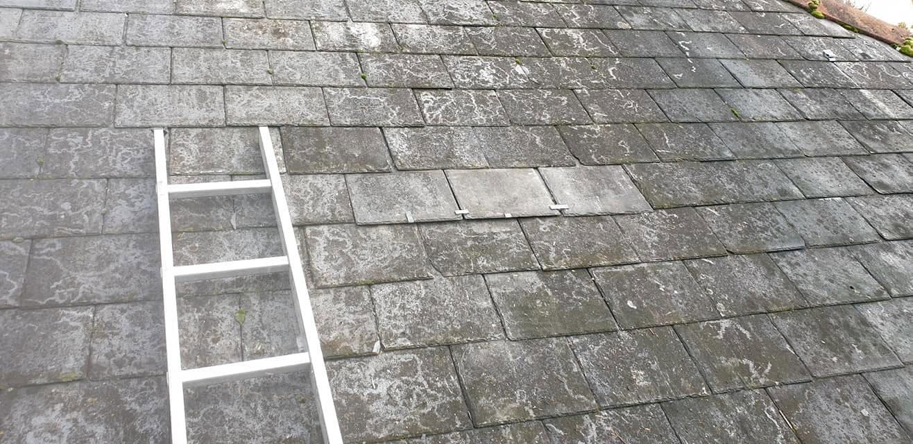 Slate roof with three replacement slates fixed in place, roof ladder alongside
